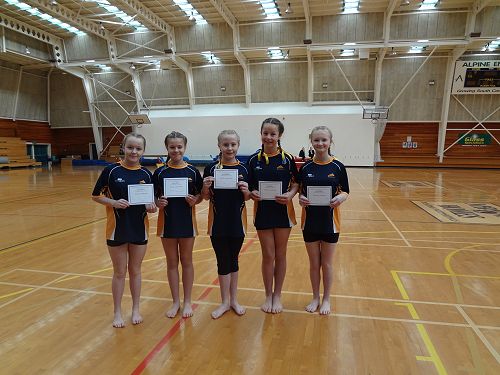 Gymnastics Festival 2016