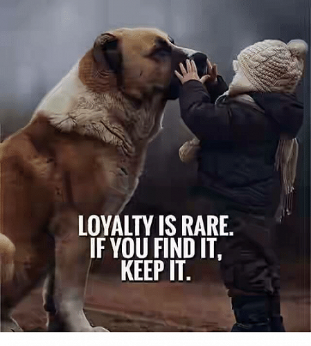 Virtue - Loyalty