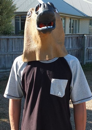 Rice - Intelligence tester