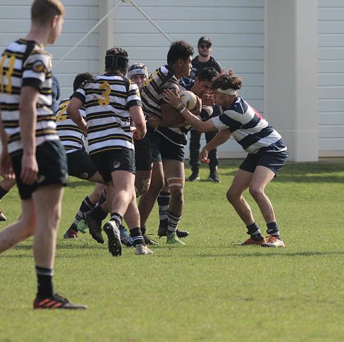 2nd XV vs New Plymouth Boys' High School