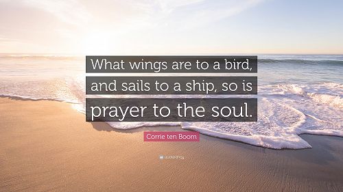 What wings are to a bird, and sails to a ship, so is prayer to the soul