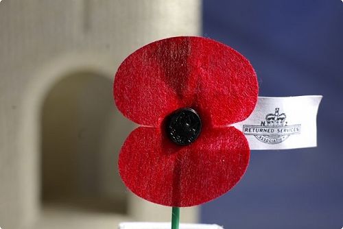 RSA Poppy Day Appeal