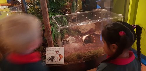 Awa's Trip to the Canterbury Museum