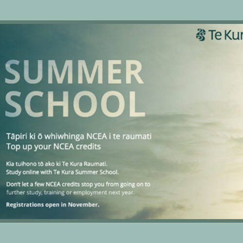 Te Kura Summer School