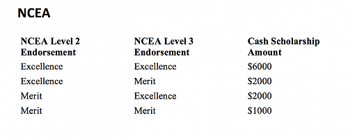 UC Undergraduate Scholarship Criteria 