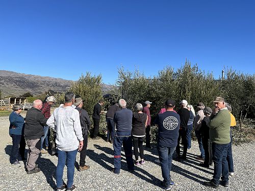 COOG pruning field-day September 2022