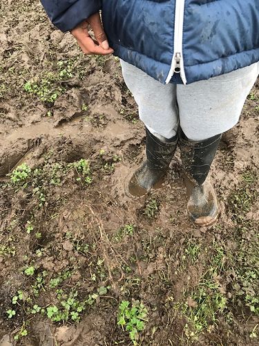 Arbor Day Community Planting at Waiwhakareke