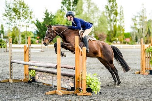 Eila Currie-Quinn riding Lexi