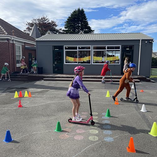 Walk n Wheel week 2023