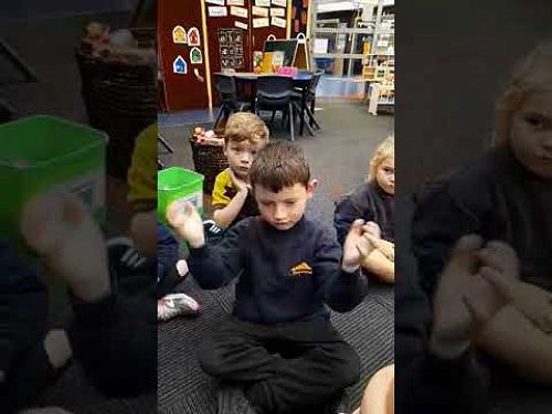 Video: 356230877 6186325768069627 452698337905244937 n