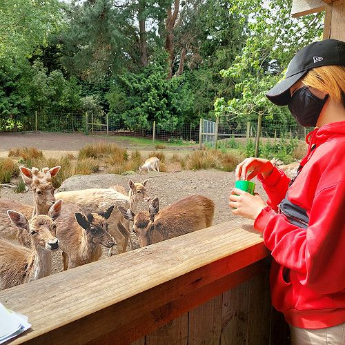 Video: Ko Taku Reo Residences Christchurch Campus