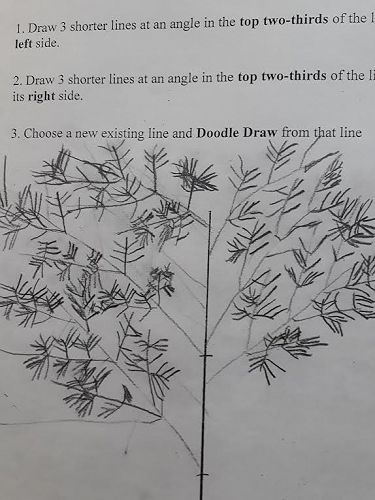 Some great drawings from the year 3 students