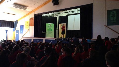 Video: Amber (If Only)