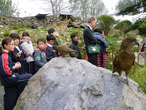 Japanese Students enjoying school life at Cobham and activities around Christchurch