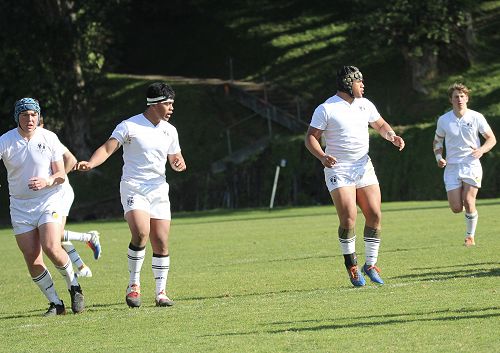 1st XV vs New Plymouth Boys' High School