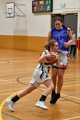 Girls Basketball 2020