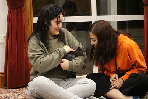 Cat Rescue Dunedin at St Margaret's College