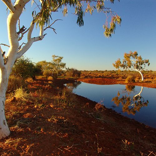 Australian Outback