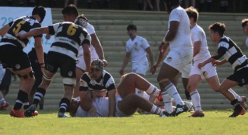 1st XV vs New Plymouth Boys' High School
