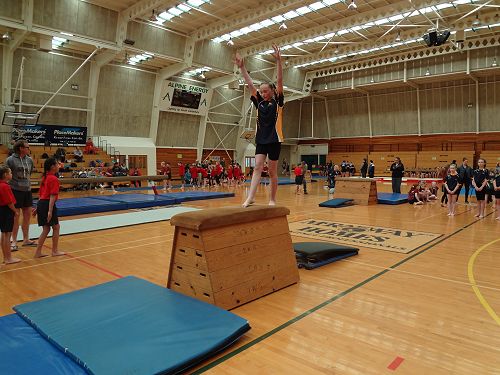 Gymnastics Festival 2016