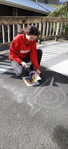 Class 9 illustrating a te reo word starting with N