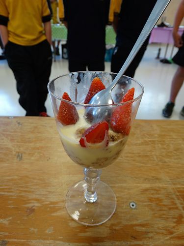 Uber fudge with vanilla icecream only the icecream didn't work out!