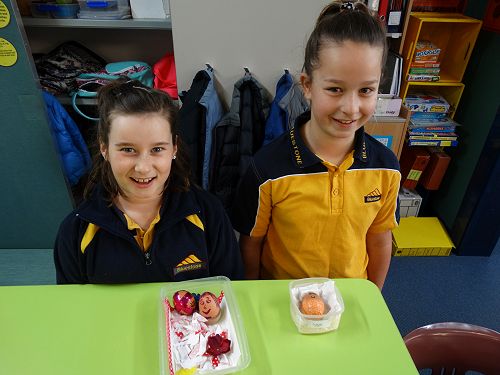 Abby (Scarlett) & Briana (Eggie)