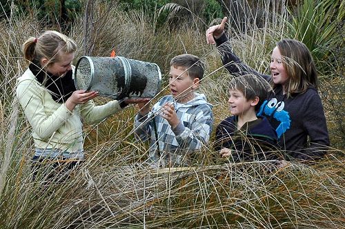 Tane's Ark Wetland Project