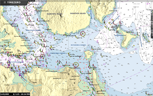 TZ-MAPS - Vector Raster Appearance (for TimeZero Professional v5)