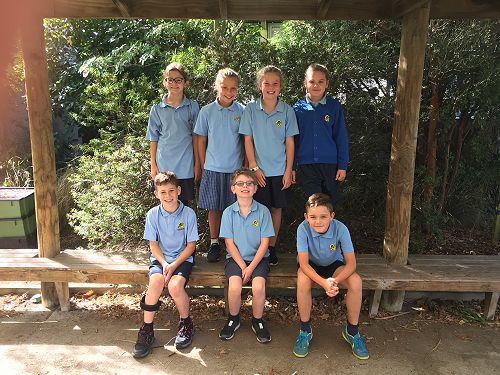 YR5/6 Eastern Zone Swimmers