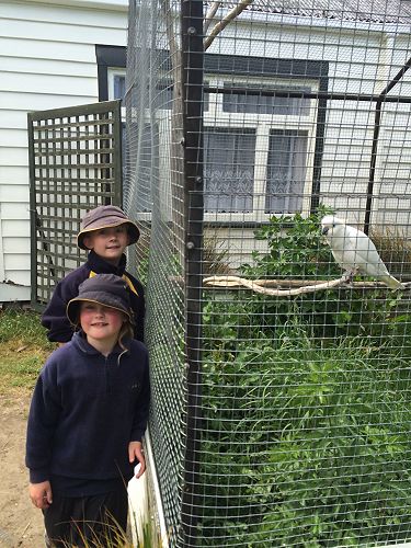 Summer and Kate hanging out with Polly.