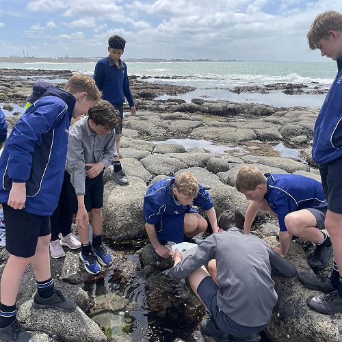 Year 9 Totara Science class