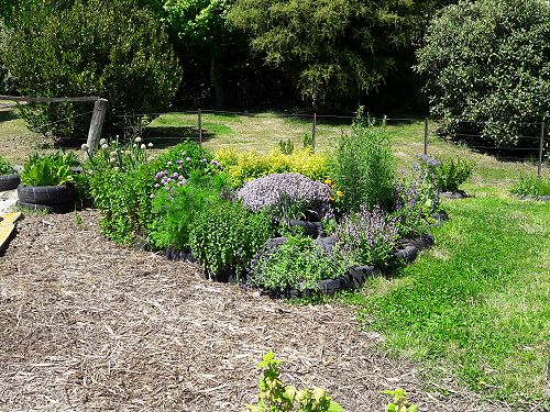 The herbs garden Nov 2017