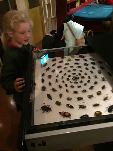 More photos of our trip to the museum and gardens.