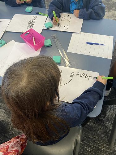 Literacy and Numeracy Through Play