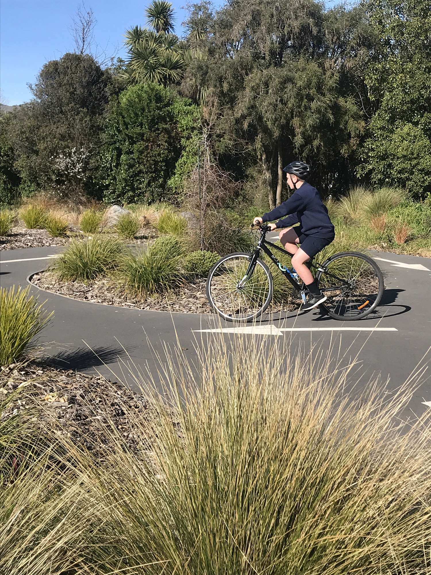 Bikes in Schools Hui