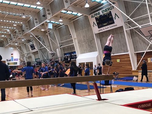 Gymnastics 2017