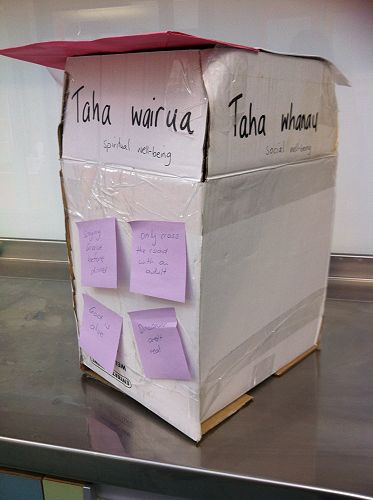 Koru - Te Whare Tapa Wha Model (1)