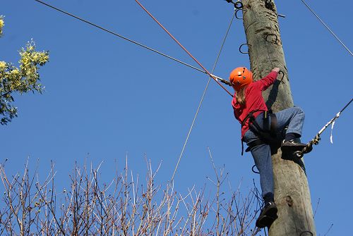 High ropes course at year 7 camp