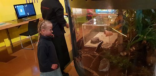 Awa's Trip to the Canterbury Museum