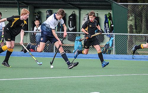 Colts Hockey v Wellington College 