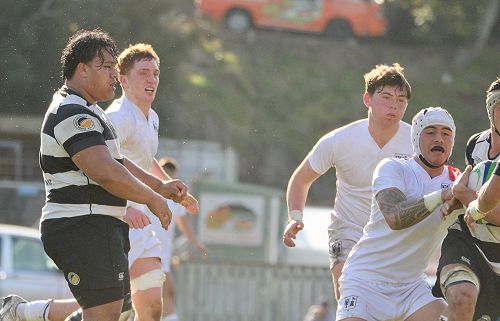 1st XV vs New Plymouth Boys' High School