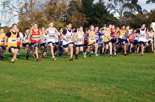 Go! The primary cross country begins