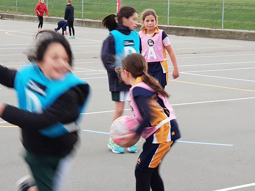 Netball 2018