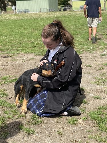 Environmental Sustainability