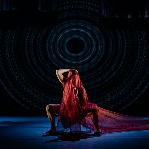 Te Wheke Show Image Dana Moore Mudgway