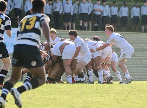 1st XV vs New Plymouth Boys' High School