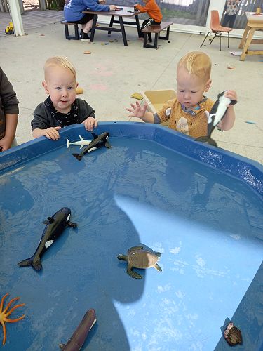 Sea Animal Water Play