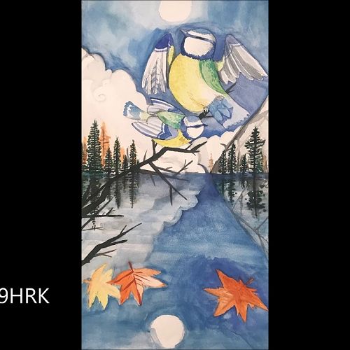 Video: Year 9 Art 2019 Don Binney's birds