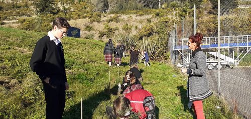 French classes planting trees